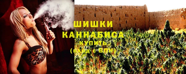 метадон Каменногорск