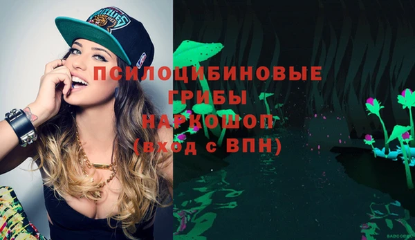 COCAINE Каменск-Шахтинский